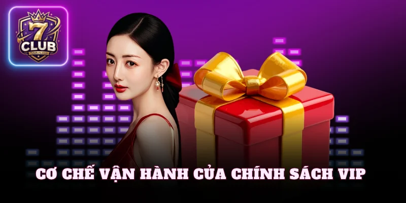 Cơ chế vận hành của chính sách VIP