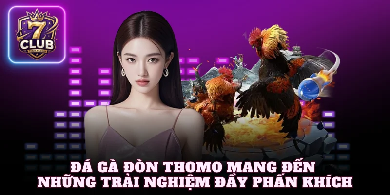 Đá gà đòn Thomo mang đến những trải nghiệm đầy phấn khích