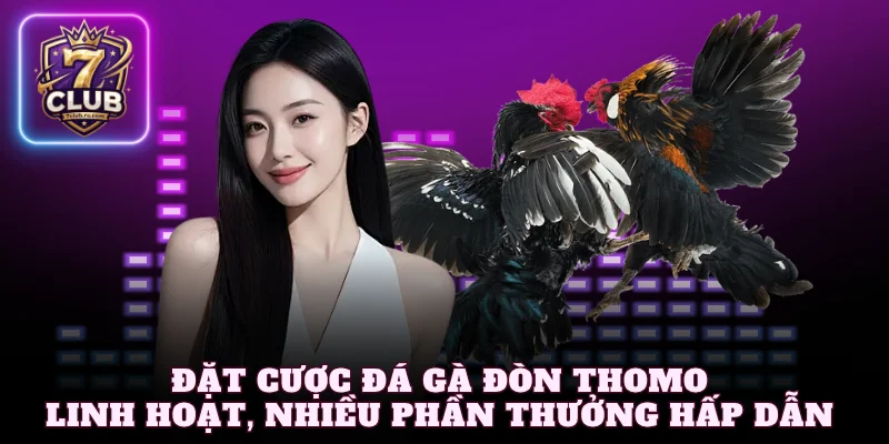 Đặt cược đá gà đòn Thomo linh hoạt, nhiều phần thưởng hấp dẫn chờ đón