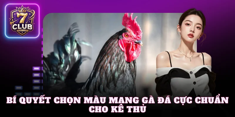 Bí quyết chọn màu mạng gà đá cực chuẩn cho kê thủ