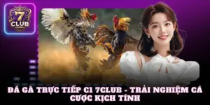 Đá gà trực tiếp C1