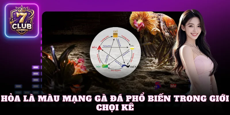 Hỏa là màu mạng gà đá phổ biến trong giới chọi kê