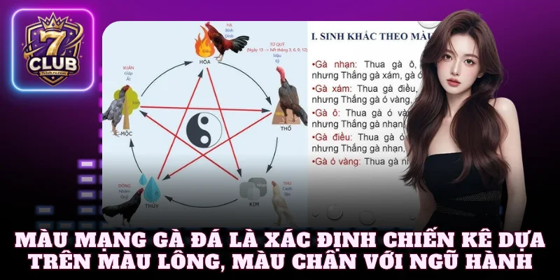 Màu mạng gà đá là xác định chiến kê dựa trên màu lông, màu chân với ngũ hành