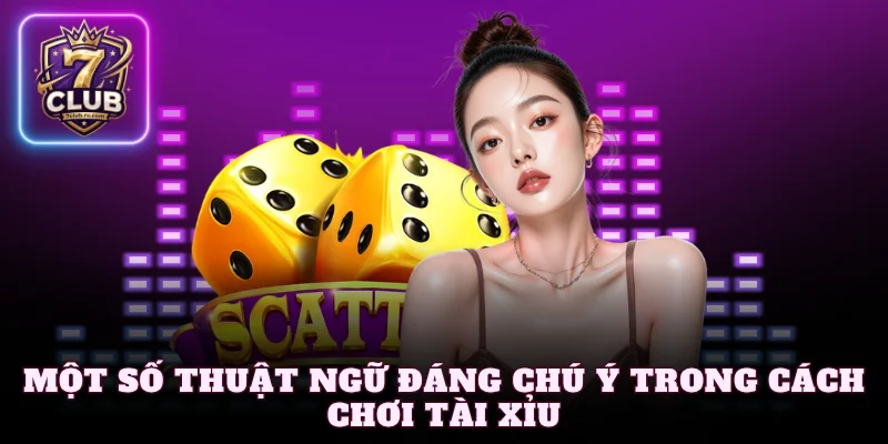 Một số thuật ngữ đáng chú ý trong cách chơi tài xỉu